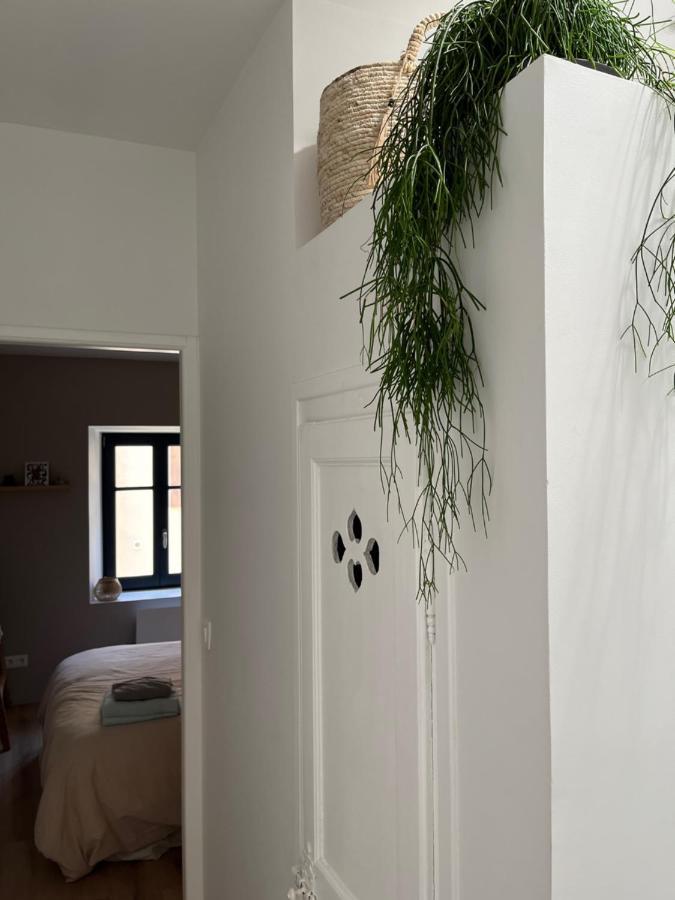 Maison Petite Cote Carcassone Kültér fotó
